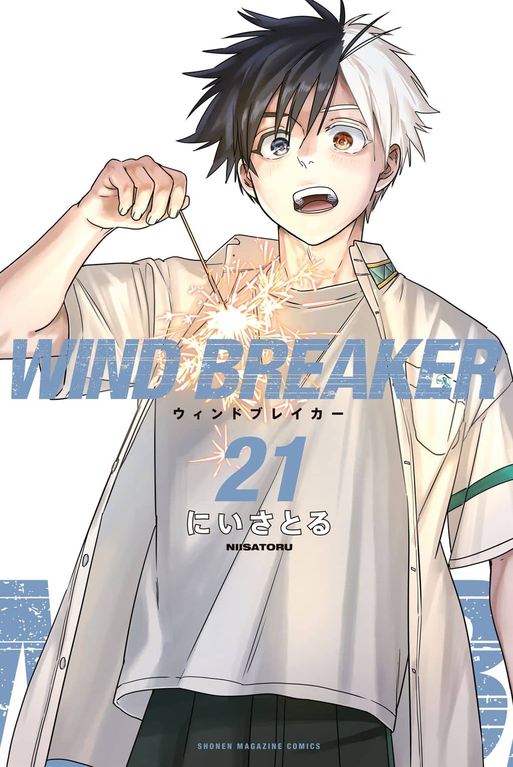 Wind Breaker (Japan)